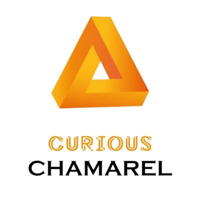 Curious Corner Chamarel Mauritius runs with XL-ent POS